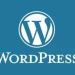 Freelance Digital Marketing Expert in Sharjah using the WordPress tool for web designing
